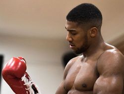 фото - Джошуа: Майк просто ненадолго отлучился, а все такие: о, божечки, Тайсон возвращается!