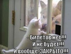 фото - Пакьяо–Маркес IV: все билеты проданы!