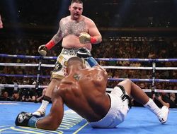 фото - Дядя Джошуа нечаянно «предсказал» его влёт Руису еще в 2013 году