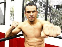 фото - Хуан Мануэль Маркес: «Чавесу и Альваресу нужно сделать правильные выводы»