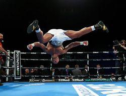 фото - У Джойса озвучили варианты на осень — вам понравятся все три