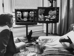 фото - Опубликован телерейтинг в США боёв Ломаченко–Ригондо и Салидо–Роман