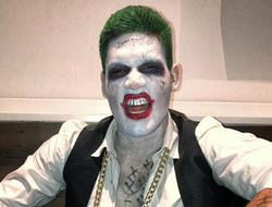 фото - Звёзды бокса, ММА и октагон-гёлз на Хэллоуин — соцсети 