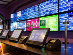 фото - Илия Топурия – Чарльз Оливейра: букмекеры назвали фаворита