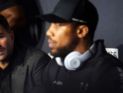 фото - Команда Фьюри предложила Джошуа способ, как урегулировать все споры