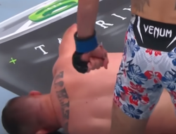 фото - Видео невероятного нокаута в бою Холлоуэй–Гэтжи