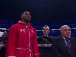 фото - Джошуа нокаутировал Хелениуса: видео