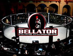 фото - Все результаты турнира Bellator 261: Молдавский — Джонсон