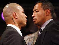 фото - Рикардо Майорга: «Всё, с ММА я закончил. Иду за титулом в боксе!»