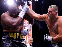 фото - Бокс возвращается. В Польше анонсировано PPV-событие — в главном бою выступит Вах