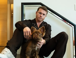 фото - Жесть года? Канело договаривается о поединке с Полом