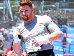 фото - Малиньяджи: Альвареса необходимо отстранить на полгода