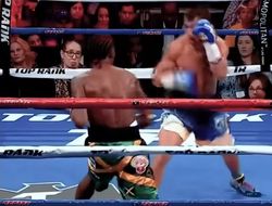 фото - «В тот момент я возненавидел бокс». Анбер о Ломаченко