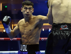 фото - Уорд о поединке Бетербиев-Бивол: «Не стоит признавать это»