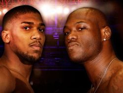 фото - Уайлдер готов драться с Джошуа за 40% призового фонда