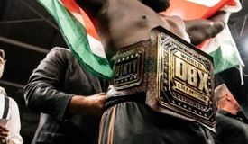 Экс-боец UFC Розенструйк арестован — укусил подругу