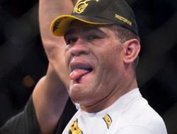 фото - UFC Fight Night 33: бойня Антонио Силвы и Марка Ханта завершилась ничьей