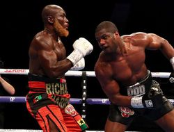 фото - Дюбуа ближе к бою с Усиком — постарались в WBO. Но в WBA традиционно отожгли ярче