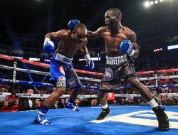 фото - Видео всех нокаутов из Линкольна: Кроуфорд, Гвоздик, Альварадо, Дженнингс и Уайт