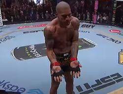 фото - Лучшие нокауты 2024 года в UFC: видео