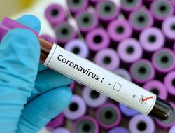 фото - Коронавирус vs бокс: до конца марта в Калифорнии отменены все боксёрские шоу