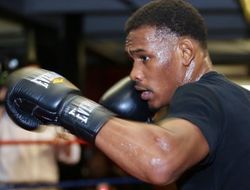 фото - Джейкобс: До конца сомневался, договоримся ли с Головкиным