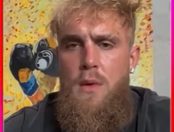 фото - Стало известно, с кем подерётся Джейк Пол сразу же после Майка Тайсона