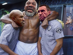 фото - Макгрегор нокаутирует Дэйну Уайта, Бриггс поймал Холифилда и Кличко, Бродницка меряет грудь — соцсети