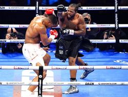 фото - С кем Джошуа проведёт следующий бой? Назван фаворит