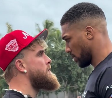 фото - Стало известно, сколько Джошуа и Пол весят перед боем