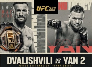 БанЯНовая кожура. UFC 323: Двалишвили – Ян 2, Пантожа – Ван 