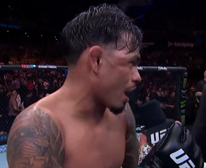 UFC Fight Night 237: Морено – Ройвэл 2, Родригес – Ортега 2. Результаты всех поединков