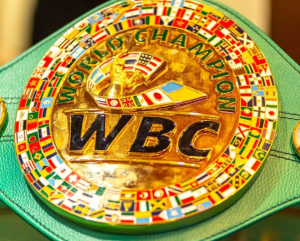 Обновился рейтинг WBC: Чухаджян и Абдуллаев вернулись в топ-15