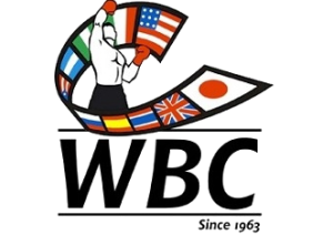 Обновился рейтинг WBC: Чухаджян и Черкашин вошли в топ-15