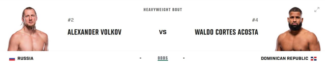 Барашек с Волк-стрит. UFC 328: Хамзат Чимаев – Шон Стриклэнд.jpg