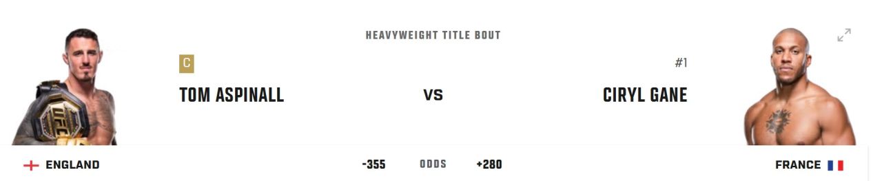 Убрать за 60 секунд. UFC 321: Аспиналл – Ган, Нурмагомедов – Батиста, Волков – Алмейда .jpg