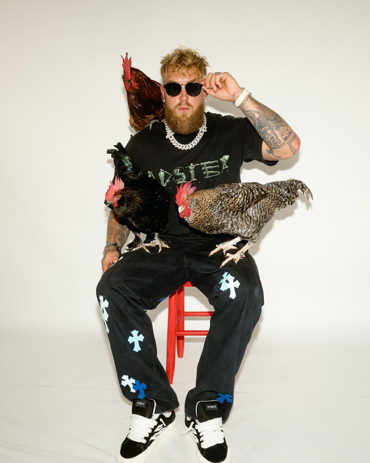 Главные бои ноября-2025: пора вновь беситься с жиру.jpeg