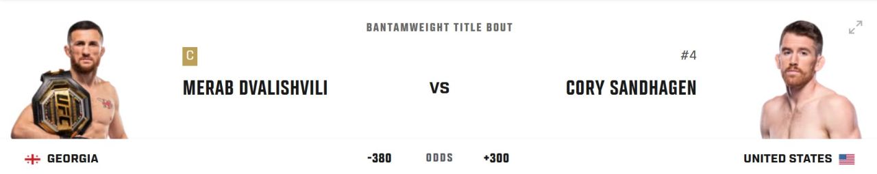 Корни. UFC 320: Анкалаев – Перейра 2, Двалишвили – Сэндхаген.jpg