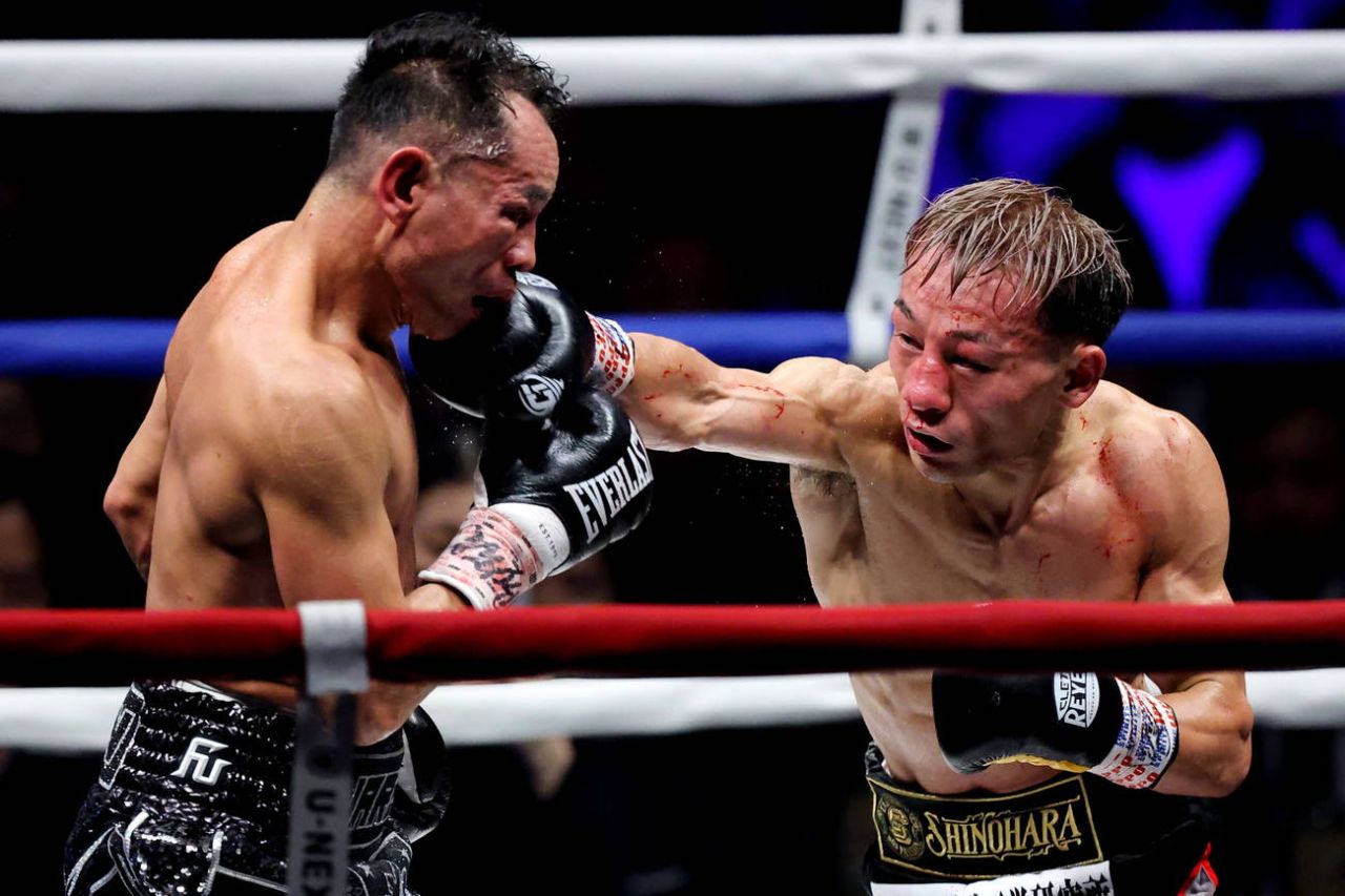 Действующие чемпионы мира по боксу.jpg