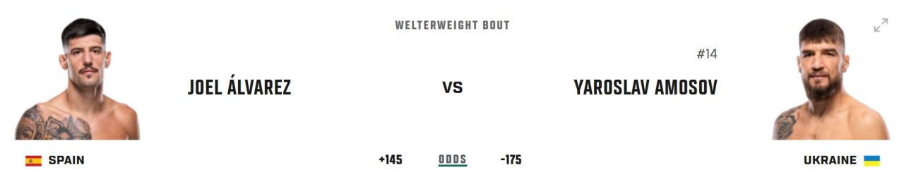 Барашек с Волк-стрит. UFC 328: Хамзат Чимаев – Шон Стриклэнд.jpg