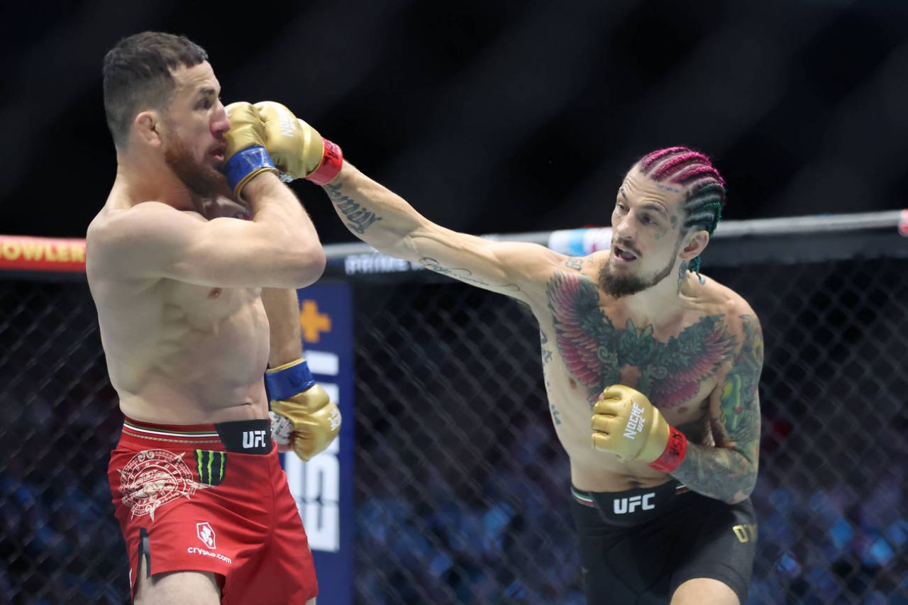 Видали и лучшие времена. UFC 316: Двалишвили – О’Мэлли 2, Пенья – Харрисон.jpeg