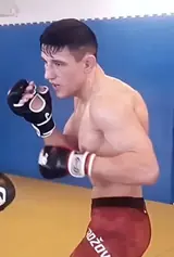 Дамир Хадзович