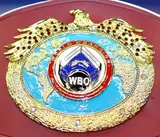 Барбоса и Кэттеролл определят претендента для Теофимо Лопеса — решение WBO