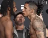 Пратес нокаутировал Мэгни. Все результаты UFC Fight Night 247