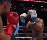 Экс-чемпион Родригес ронял, побил Диаса