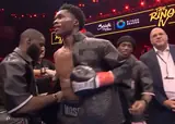 Небитые Мейсон и Ноукс устроили махач за пояс WBO