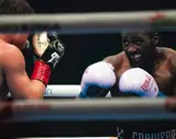 Канело и Кроуфорд почти «побили» весь ростер UFC