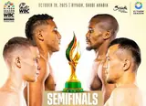 Прямая трансляция: полуфиналы Гран-при WBC. Смотреть онлайн