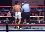 Диас выигрывал раунды, а затем влетел досрочно: видео