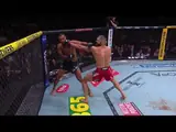 UFC 327. Видео лучших моментов: Ульберг забил Прохазку, Коста остановил Мурзаканова
